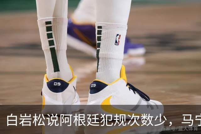 白岩松说阿根廷犯规次数少，马宁：我们看的是性质而非数量